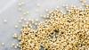 Photo for Global Sorghum Market Research Report - Industry Analysis, Size, Share, Growth, Trends and Forecast Till 2026