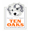 Photo for Ten Oaks Doodles