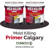 Photo for Mold Killing Primer Calgary