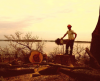 Photo for Lafontaine Tree Services