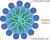 Photo for World Biosurfactant Market: Market Size,Industry Growth and Forecast Report Till 2022