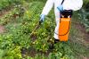 Photo for Global Glyphosate Market Research Report - Industry Analysis, Size, Share, Growth, Trends and Forecast Till 2026