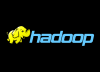Photo for Global Hadoop Market Research Report - Industry Analysis, Size, Share, Growth, Trends and Forecast Till 2026