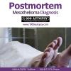 Photo for Postmortem Neurological Diagnosis