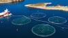 Photo for Aquaculture Market  to 2028 : Impact of Existing and Emerging Flexible Market Trends and Forecast