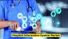 Photo for Hospital Information System Market Size, Analysis, Statistics, Trends, Forecast Report, 2024