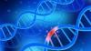 Photo for Global Microarray Market Research Report - Industry Analysis, Size, Share, Growth, Trends and Forecast Till 2026