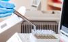 Photo for Global Molecular Diagnostics For Cancer Testing Market Research Report - Industry Analysis, Size, Share, Growth, Trends and Forecast Till 2026