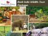 Photo for Book India Wildlife Tours package with Bespoke India Holidays
