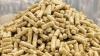 Photo for Global Feed Acidifiers Market Research Report - Industry Analysis, Size, Share, Growth, Trends and Forecast Till 2026