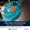 Photo for Organ Preservation Market Report 2020-2025 | Industry Trends, Market Share, Size, Growth and Opportunities
