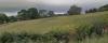 Photo for The Mind Coach Psychotherapist in England