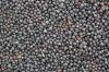 Photo for Global Rapeseed Seed Market 2020 | Manufacturers Regions Type And Application Forecast To 2025