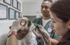 Photo for Veterinary Healthcare Market Industry Size, Growth, Opportunities, and Forecast to 2020