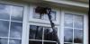 Photo for Hart Window Cleaning