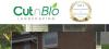 Photo for CUT N BLO LANDSCAPING