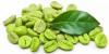 Photo for Global Chlorogenic Acid Market Research Report - Industry Analysis, Size, Share, Growth, Trends and Forecast Till 2026