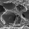 Photo for Global Poly (Lactic-Co-Glycolic Acid) Market Research Report - Industry Analysis, Size, Share, Growth, Trends and Forecast Till 2026