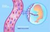 Photo for World Non-Invasive Prenatal Testing Devices Market: Market Size,Industry Growth and Forecast Report Till 2023