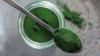 Photo for Global Chlorella Ingredients Market Research Report - Industry Analysis, Size, Share, Growth, Trends and Forecast Till 2026