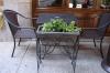 Photo for Why Interior Plantscaping is Essential for a Livelier Workplace