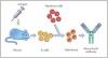 Photo for Monoclonal Antibody Market Size, Share, Trend 2020-2024