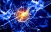 Photo for Regenerative Medicine Market: Worldwide Industry Analysis, Market Share, Market Size and Forecast
