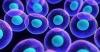 Photo for stem cell DNA deletion