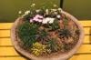 Photo for The Expert Solution to Every Interior Landscaping in Philadelphia