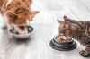 Photo for Pet Food Ingredient Market Worth $59.45 Billion By 2025