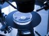 Photo for Global Infertility Treatment Devices Market Research Report - Industry Analysis, Size, Share, Growth, Trends and Forecast Till 2026