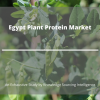 Photo for Comprehensive Report on Egypt Plant Protein Market