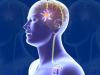Photo for Global Neuromodulation Devices Market Research Report - Industry Analysis, Size, Share, Growth, Trends and Forecast Till 2026