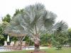 Photo for 2BR House Vacation Rental By Owner in Delray Beach, Florida