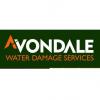 Photo for Avondale Water Damage Services