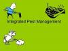 Photo for Integrated Pest Management Market Size Worth $151.0 Billion by 2025