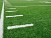 Photo for Global Turf And Ornamental Chemical Inputs Market Research Report - Industry Analysis, Size, Share, Growth, Trends and Forecast Till 2026