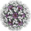 Photo for Global Glycobiology Market Research Report - Industry Analysis, Size, Share, Growth, Trends and Forecast Till 2026