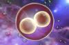 Photo for Global Human Embryonic Stem Cells Market Research Report - Industry Analysis, Size, Share, Growth, Trends and Forecast Till 2026