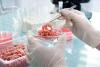 Photo for Global Meat Speciation Testing Market Research Report - Industry Analysis, Size, Share, Growth, Trends and Forecast Till 2026
