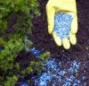 Photo for World Chemical Agricultural Colorants Market: Market Size,Industry Growth and Forecast Report Till 2024