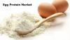 Photo for Egg Protein Market Business Analysis, Scope, Size, Trends, Demand, Overview, Forecast 2028