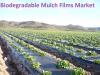 Photo for Biodegradable Mulch Films Market Worth $64.3 Million By 2024