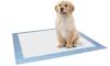 Photo for Global Dog Pads Market 2020 | Manufacturers, Regions, Type And Application, Forecast To 2025