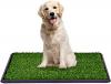 Photo for Global Puppy Potty Pad Market 2020 | Manufacturers Regions Type And Application Forecast To 2025