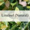 Photo for Global Natural Linalool Market 2020 | Manufacturers Regions Type And Application Forecast To 2025