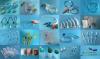 Photo for World Disposable Medical Supplies Market: Market Size,Industry Growth and Forecast Report Till 2024