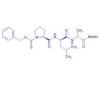 Photo for World Collagenase Market: Market Size,Industry Growth and Forecast Report Till 2024