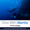 Photo for Manta Dive Nusa Penida