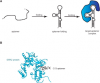 Photo for Global Aptamer Market 2020 | Manufacturers Regions Type And Application Forecast To 2025